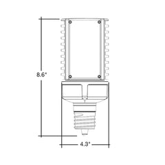 Corn Bulb: Directional