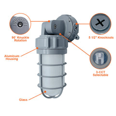 Jelly Jar: Vertical and Horiztonal