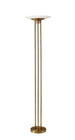 Newton Brass Modern LED Torchiere Floor Lamp