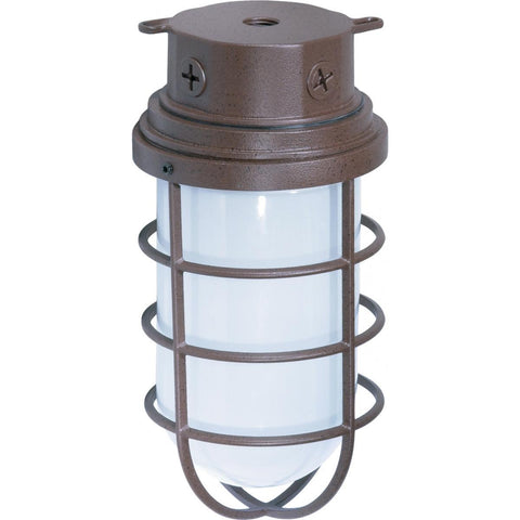 11" Industrial Style Surface Mount with Frosted Glass Outdoor Nuvo Lighting 