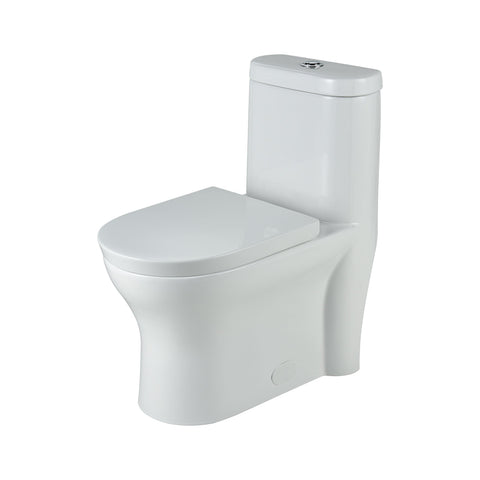 Jet Siphonic Toilet - R and T Flushing Fitting Toilet Ryvyr 