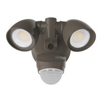 Security Light