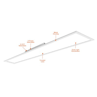 4"x4' LED Panel: Backlit-Line