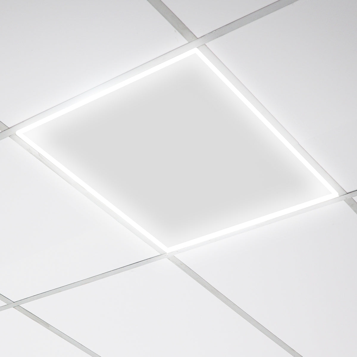 2x2 Frame Drop In: ARCY-Line