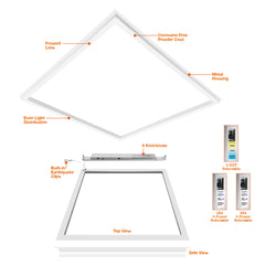2x2 Frame Drop In: ARCY-Line