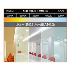 6,8,10" 54W Module: ARCY-Line