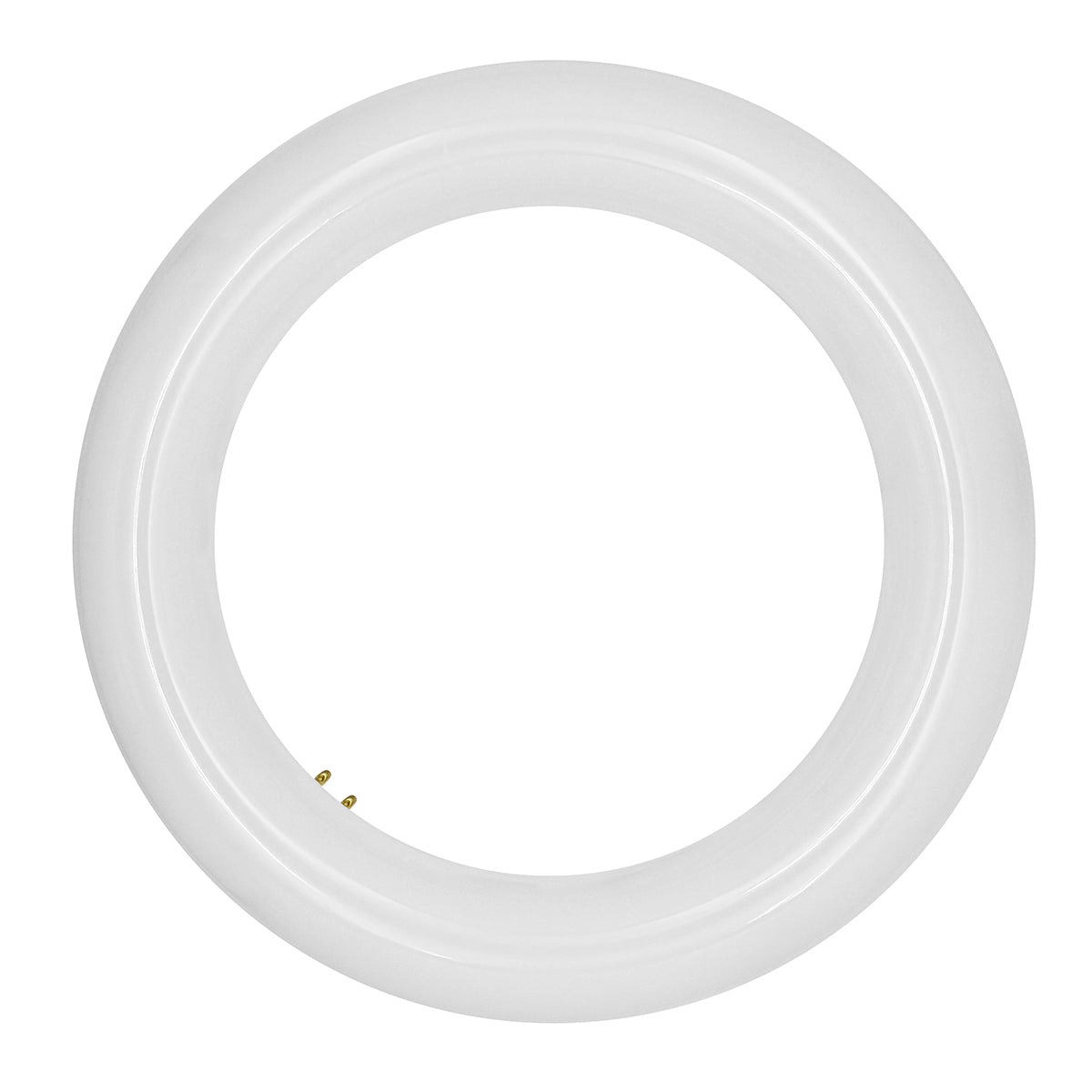T9 8" Cicline Glass + PC Coating TRIPLE FIT Ballast, or AC Direct Single/Double (FROSTED LENS)