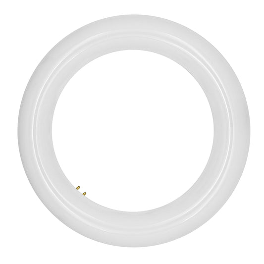 T9 8" Cicline Glass + PC Coating TRIPLE FIT Ballast, or AC Direct Single/Double (FROSTED LENS)