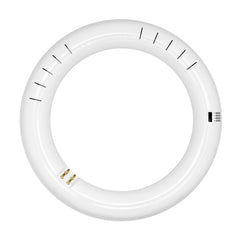 T9 8" Cicline Glass + PC Coating TRIPLE FIT Ballast, or AC Direct Single/Double (FROSTED LENS)