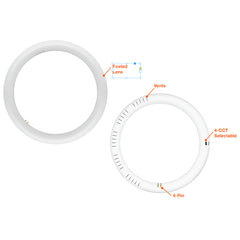 T9 12" Cicline Glass + PC Coating TRIPLE FIT Ballast, or AC Direct Single/Double (FROSTED LENS)