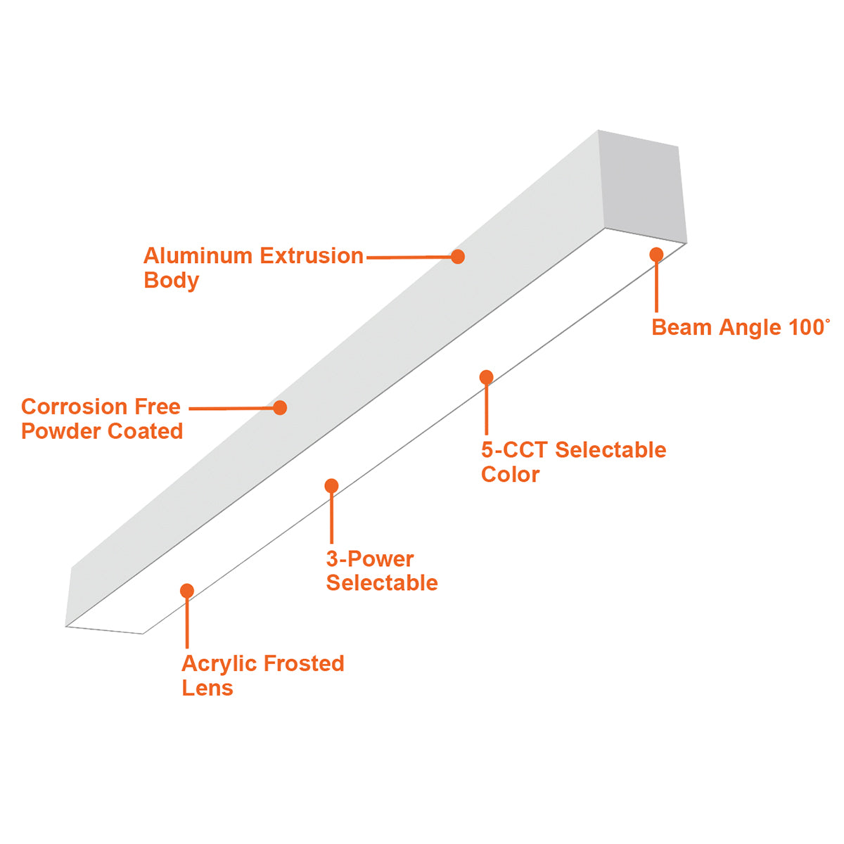2' Architectural Linear Downlight T-Bar