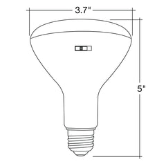 PAR30 75W Equivalent