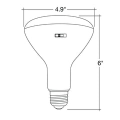 PAR38 100W Equivalent