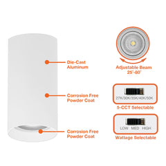 3" CACM Module: ARCY-Line