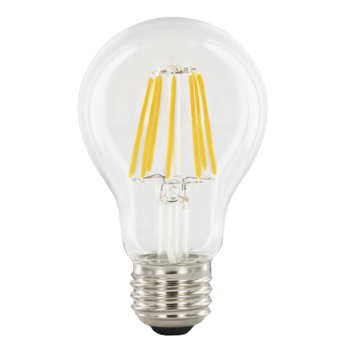 Filament A19 Bulb