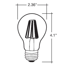 Filament A19 Bulb Low Voltage