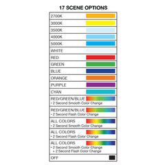 In-Ground Light: Flat Open Lens