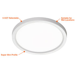 12" Surface Mount Round: Slim-Line