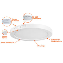 5" Surface Mount Round: Slim-Line