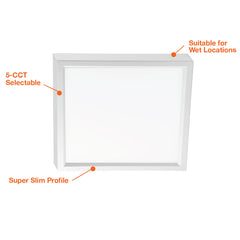 5" SlimLine Surface Mount Square