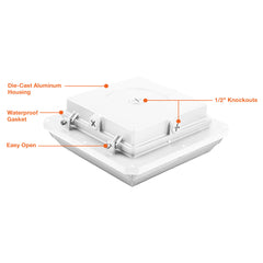 Square Canopy: ARCY-Line