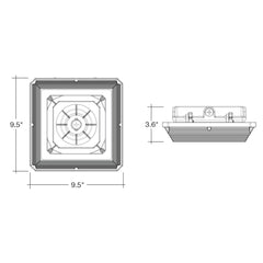 Square Canopy: ARCY-Line