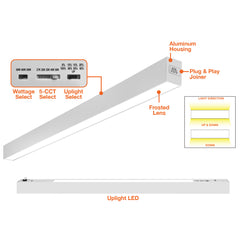 2' C-Line: Suspended Linear