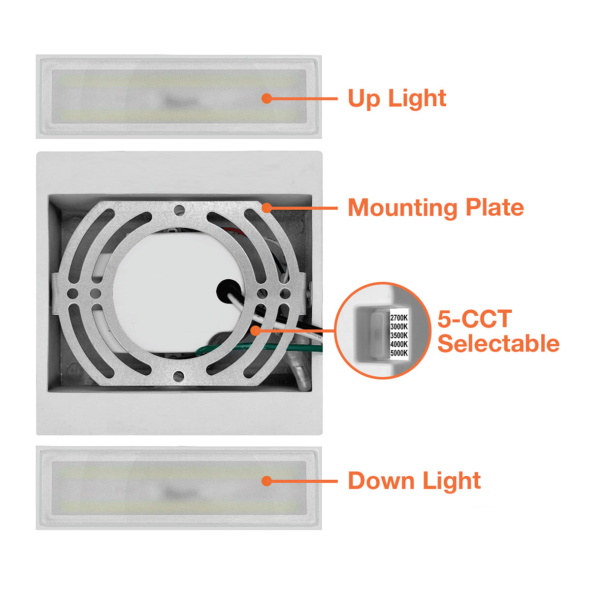 Wall Sconce: M-Line