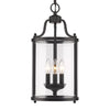 Payton 3 Light Pendant in Black with Clear Glass Ceiling Golden Lighting 