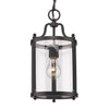 Payton Mini Pendant in Black with Clear Glass Ceiling Golden Lighting 
