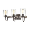 Dillon 3-Light Vanity Light in Vintage Rust with Clear Hammered Glass Wall Elk Lighting 