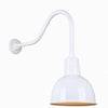 10" Gooseneck Light Deep Bowl Shade, QSNHL-H Arm (Choose Finish and Accessory Options) Outdoor Hi-Lite White (none) 