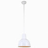 Warehouse 10"w Ceiling Light with 36" Stem (Choose Finish and Accessories) Ceiling Hi-Lite 