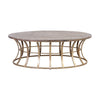 Meditation Coffee Table in Soft Gold and Solid Grey Pine Furniture ELK Home 