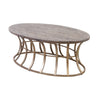 Meditation Coffee Table in Soft Gold and Solid Grey Pine Furniture ELK Home 