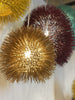 Urchin 1-Lt Mini Pendant - Gold Ceiling Varaluz 