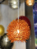 Urchin 1-Lt Mini Pendant - Electric Pumpkin Ceiling Varaluz 