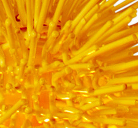 Urchin 1-Lt Mini Pendant - Un-Mellow Yellow Ceiling Varaluz 