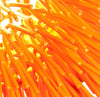 Urchin 1-Lt Pendant - Electric Pumpkin Ceiling Varaluz 