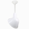 Warehouse 10"w Ceiling Light with 12" Stem (Choose Finish and Accessories) Ceiling Hi-Lite White (None) 