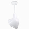 Warehouse 10"w Ceiling Light with 12" Stem (Choose Finish and Accessories) Ceiling Hi-Lite White Swivel Canopy for sloped ceilings 