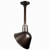 Warehouse 10"w Ceiling Light with 12" Stem (Choose Finish and Accessories) Ceiling Hi-Lite Oil Rubbed Bronze (None) 