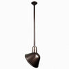 Warehouse 10"w Ceiling Light with 36" Stem (Choose Finish and Accessories) Ceiling Hi-Lite Oil Rubbed Bronze (None) 