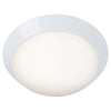 Cobalt Flush Mount - White with Opal Glass Ceiling Access Lighting 