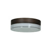 Solid (s) Dimmable LED Flush Mount - Bronze Ceiling Access Lighting 