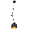 Pizzazz 1-Light Oblong Pendant - Black and Gold (BL/GLD) Ceiling Access Lighting 