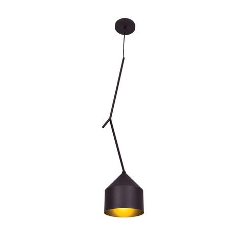Pizzazz 1-Light Oblong Pendant - Black and Gold (BL/GLD) Ceiling Access Lighting 