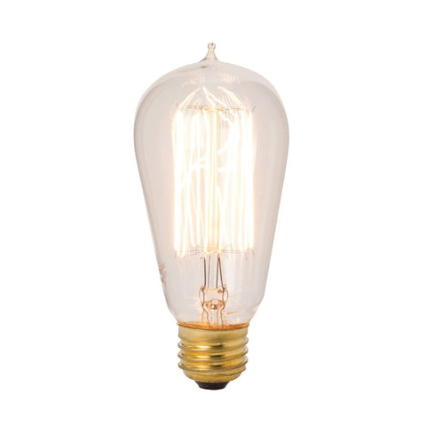 Edison Style 40 Watt Exposed Filament Bulb