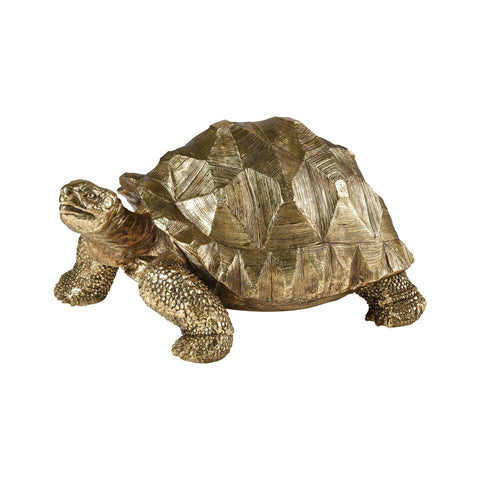 Scooch Decorative Turtle Accessories Dimond Home 