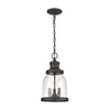 Renford 3-Light Outdoor Pendant in Architectural Bronze with Seedy Glass